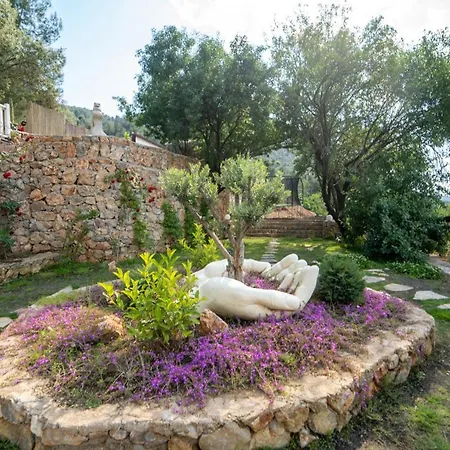 Apartment Amazing With Pool And Jacuzzi In